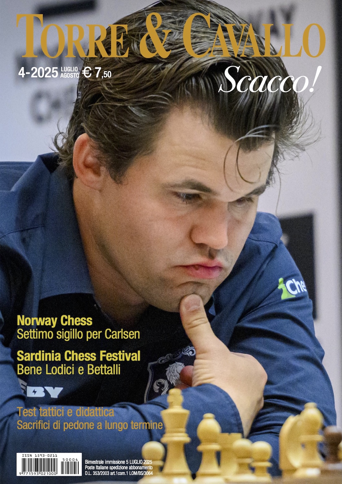 Torre & Cavallo - Scacco!