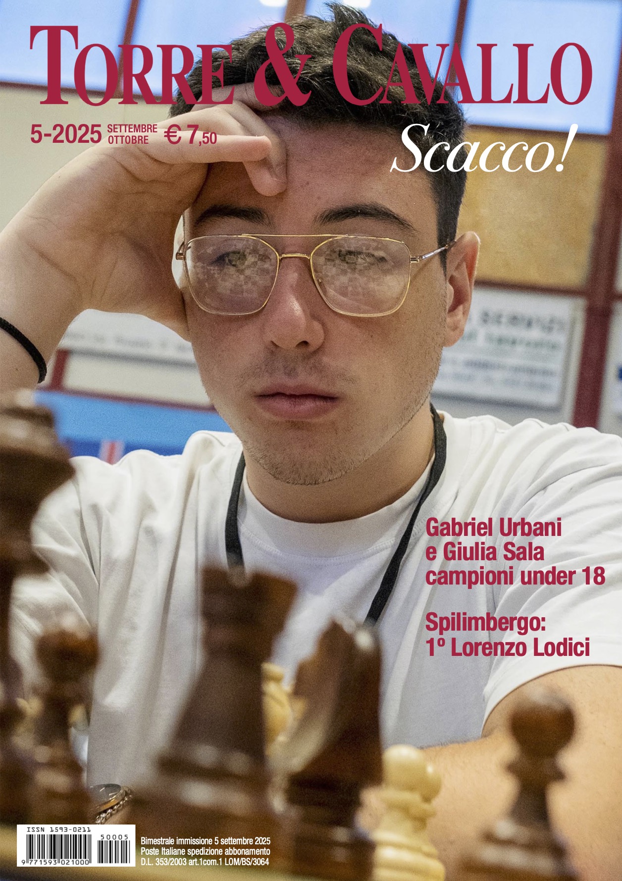 Torre & Cavallo - Scacco!